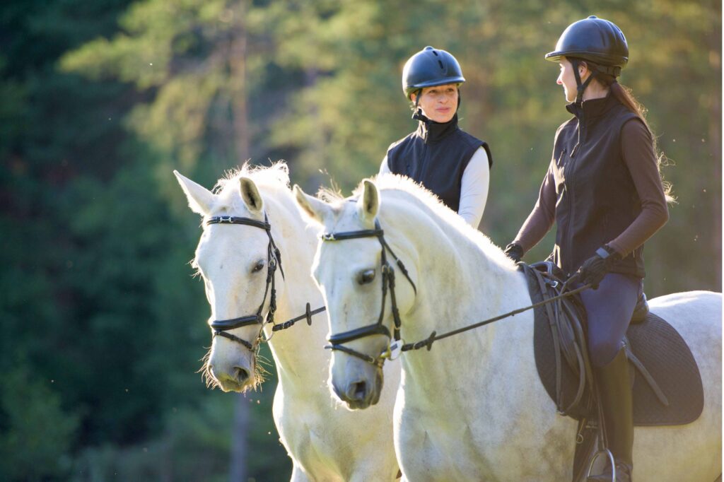 Rutas a Caballo